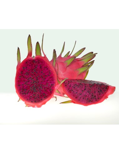 Pitaya o Fruta de Dragón Ecológica- Formato: 4 KG - Calibre: Más de 500GR